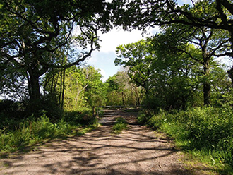 High Stoy Lane